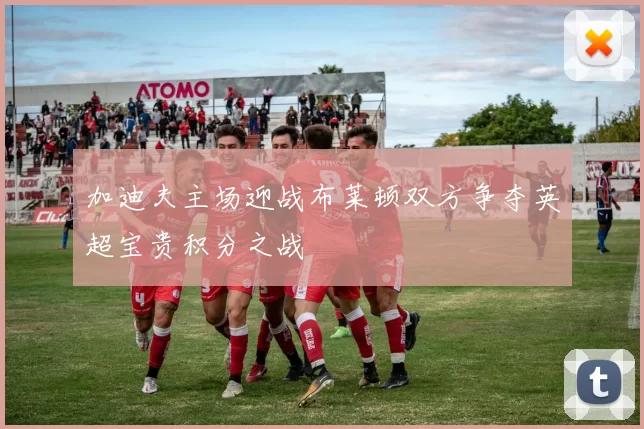 加迪夫主场迎战布莱顿双方争夺英超宝贵积分之战