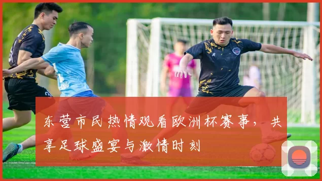 东营市民热情观看欧洲杯赛事，共享足球盛宴与激情时刻